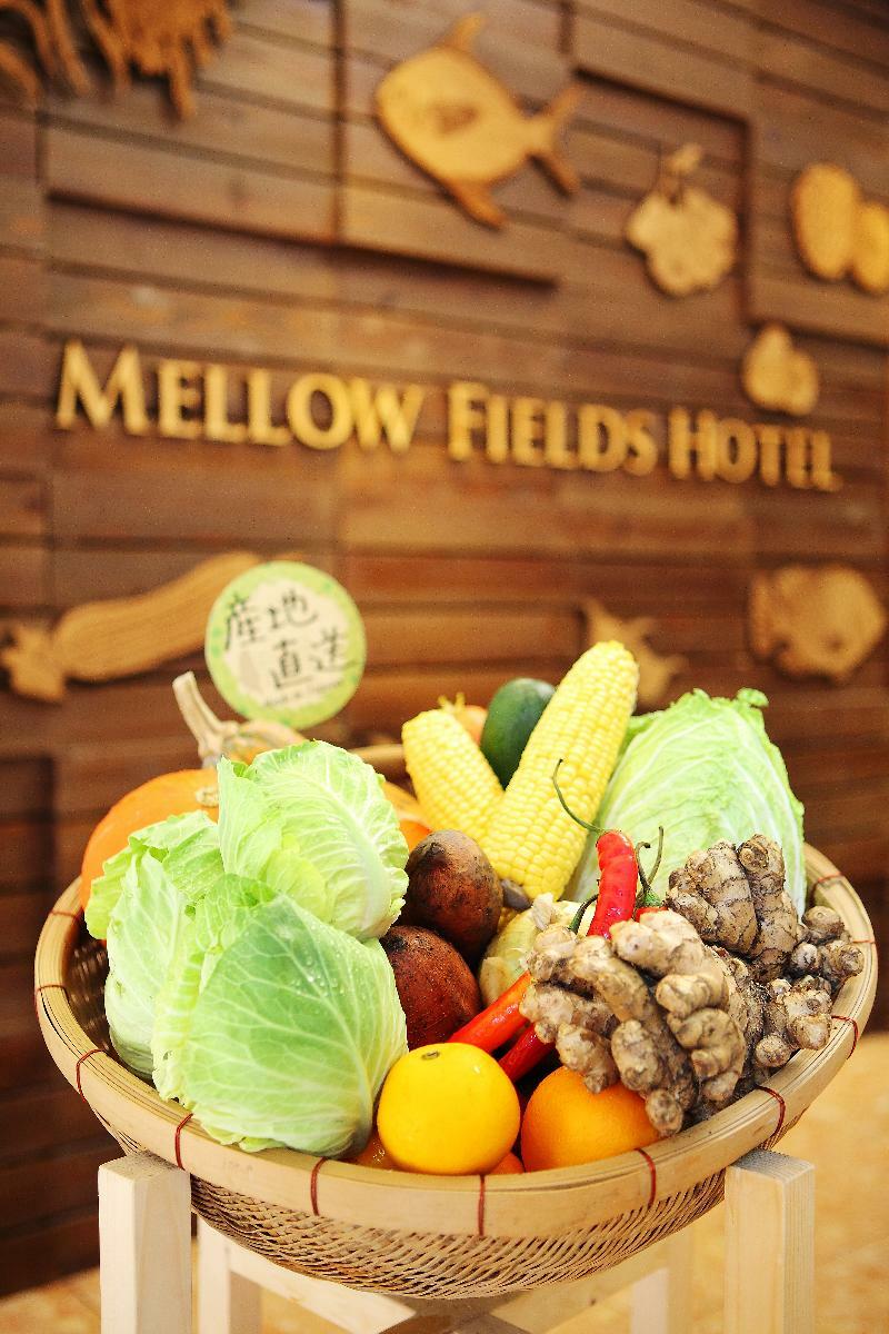 Penginapan Mellow Fields Taipei